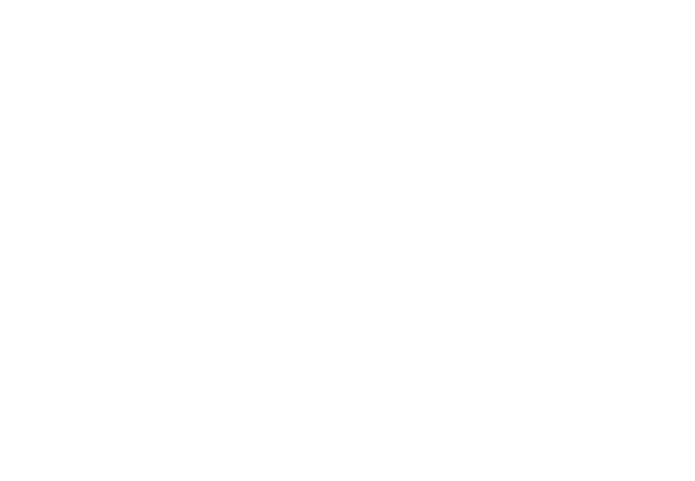 PSS - Prevent Security & Service GmbH